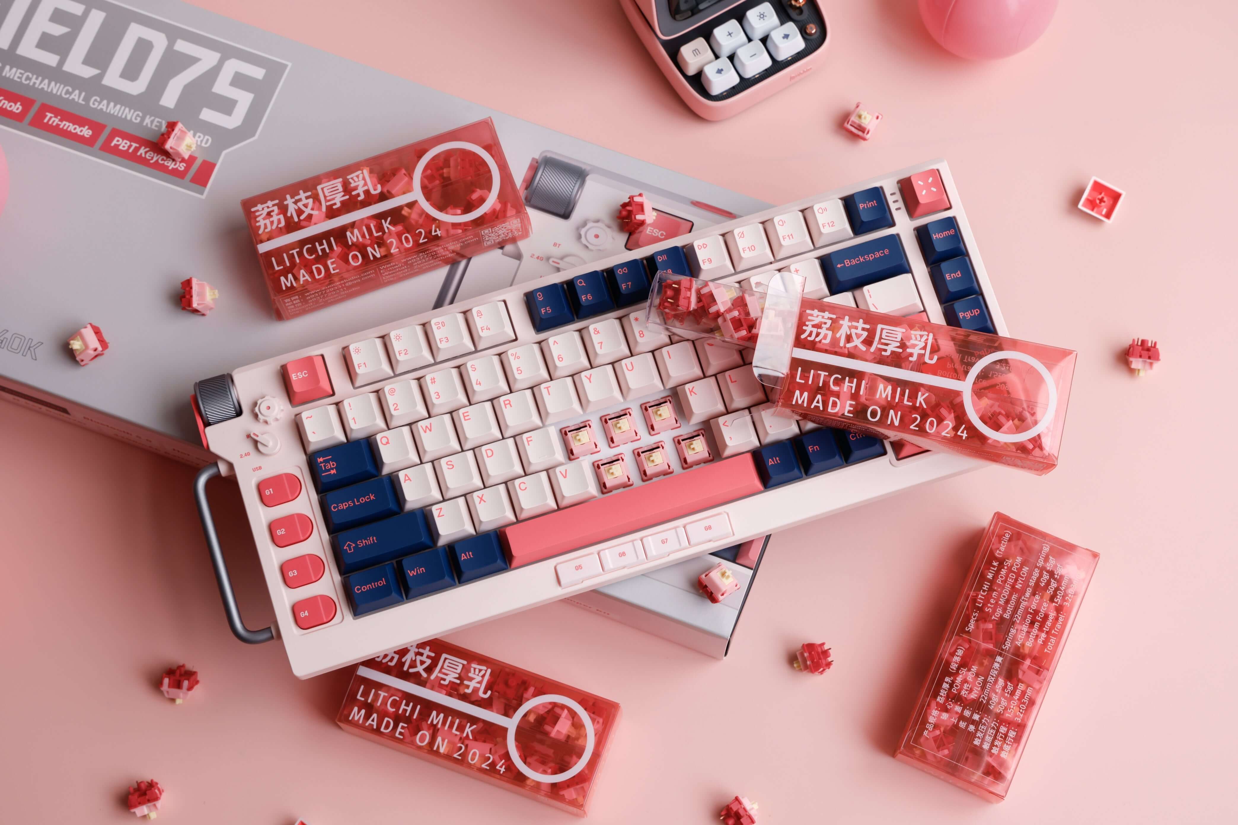 Introducing Zuoce and Jerzzi Switches