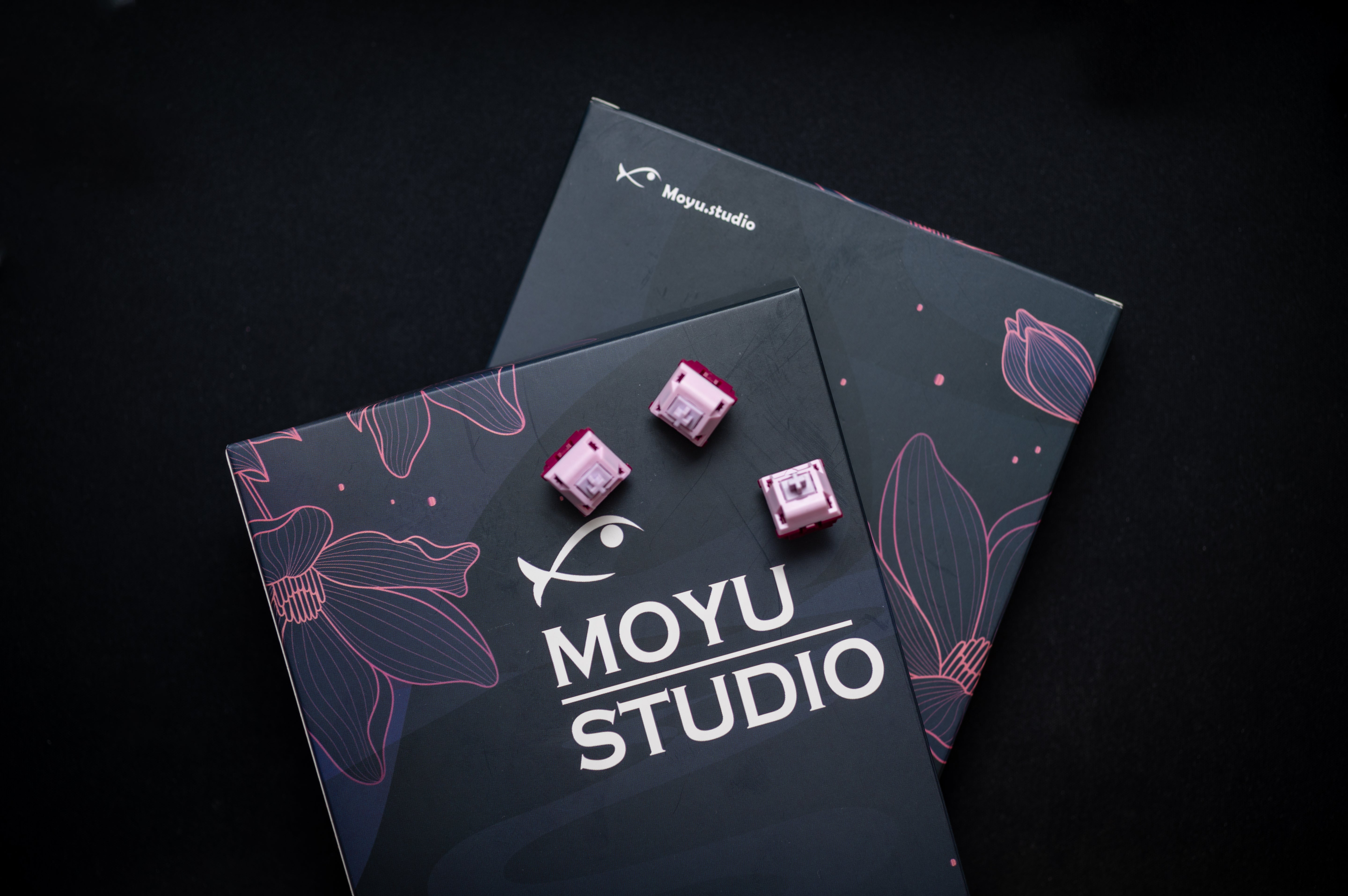 Keygeek Muse Linear (10 Pack)