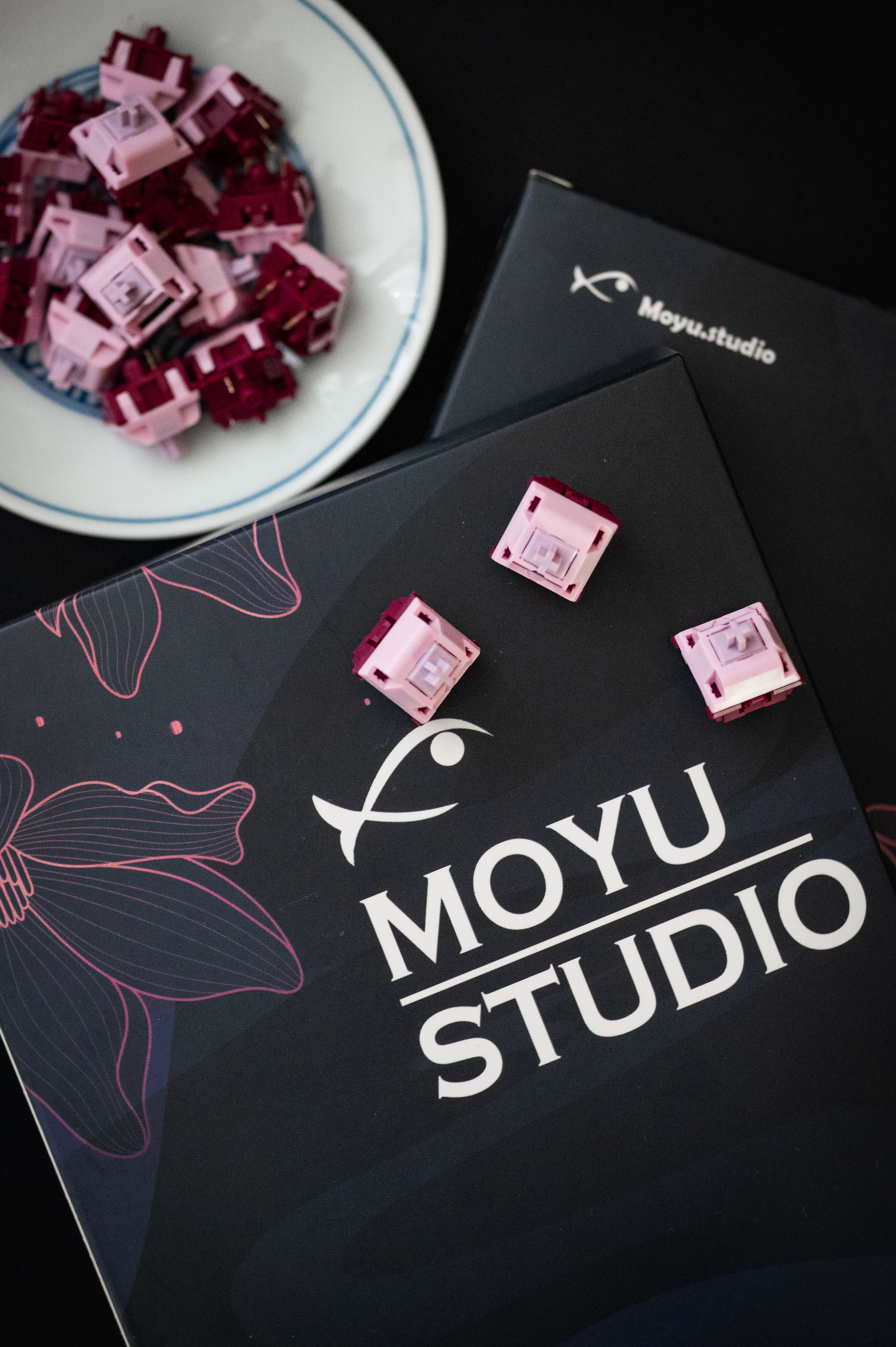 Keygeek Muse Linear (10 Pack)