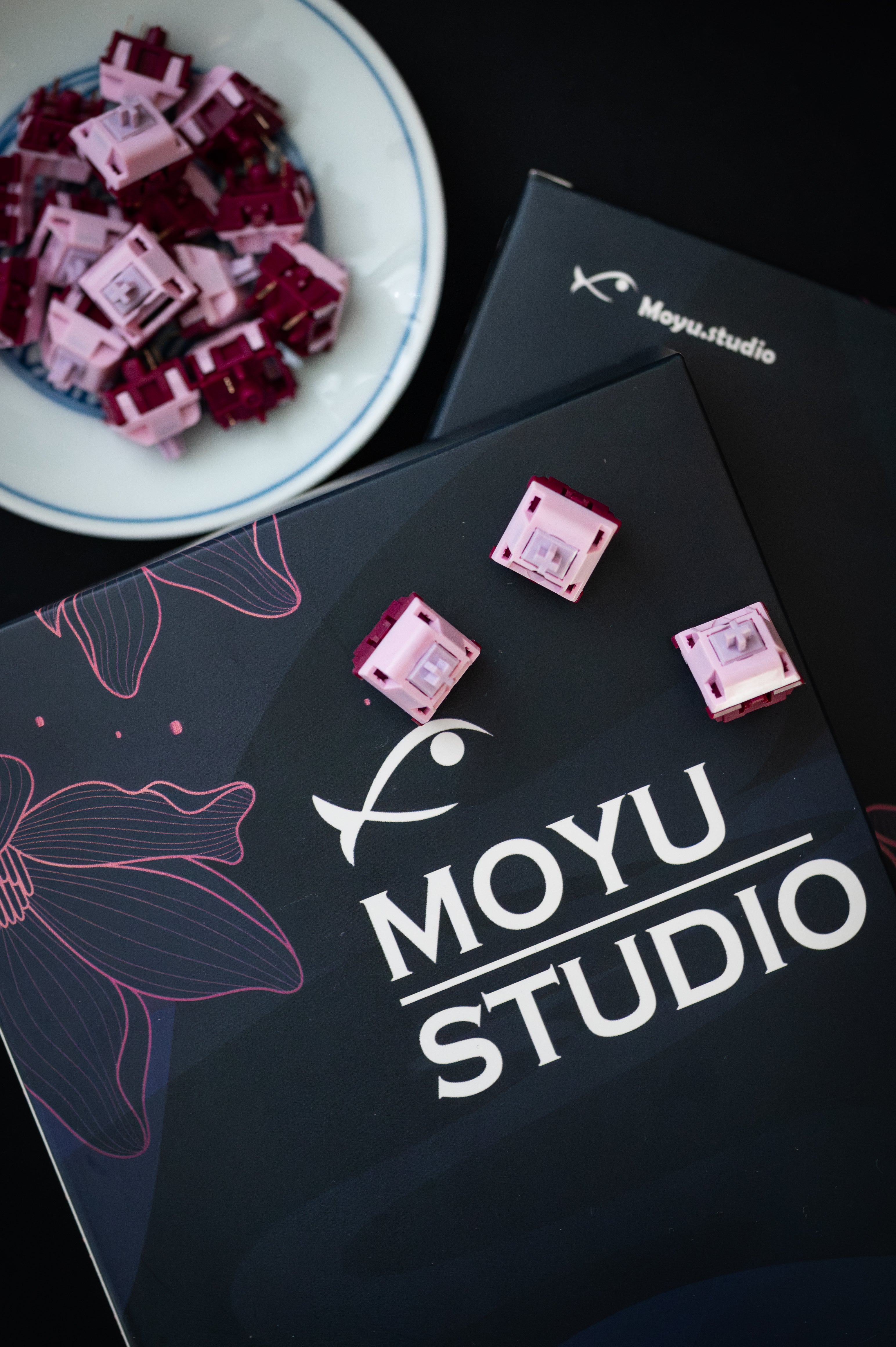 Keygeek Muse Linear (10 Pack)