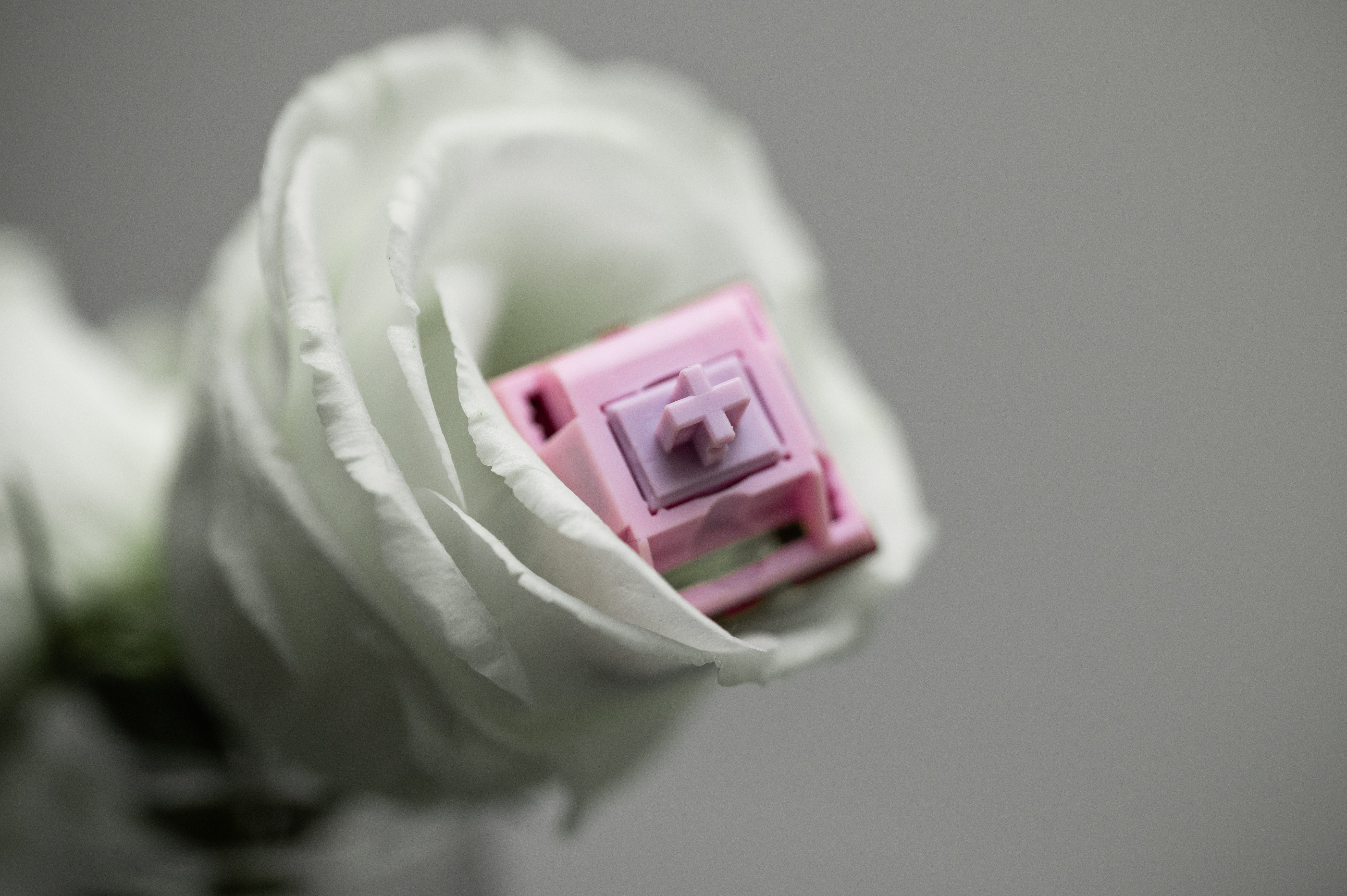 Keygeek Muse Linear (10 Pack)