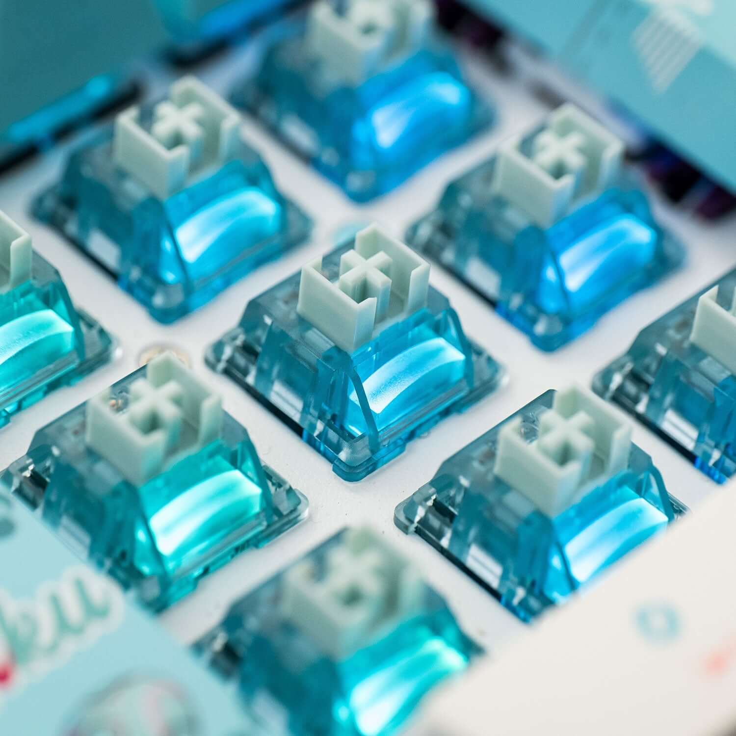 Akko Pro Cream Blue V5, Tactile (10 pack)