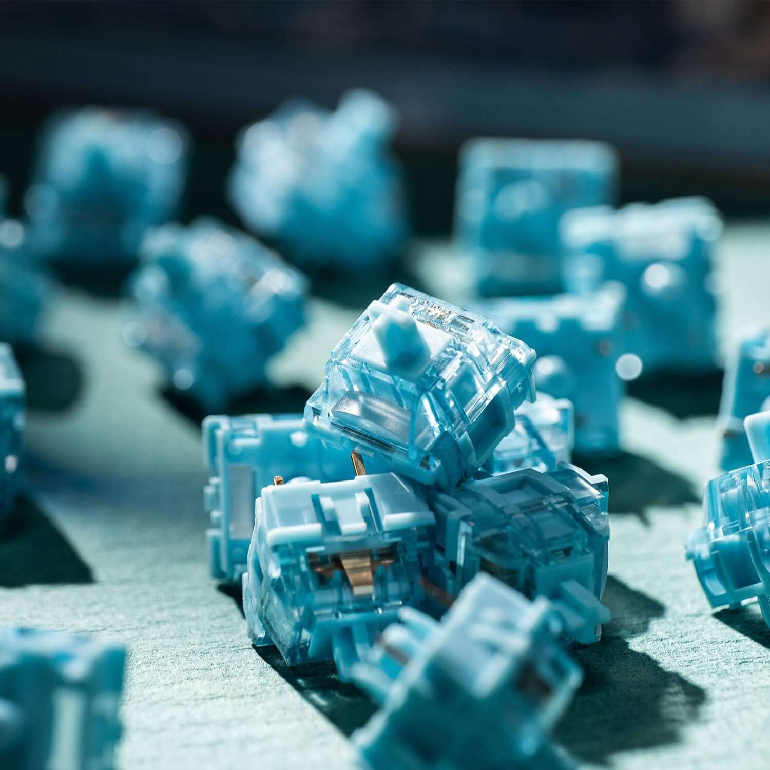 Akko Pro Cream Blue V5, Tactile (10 pack)