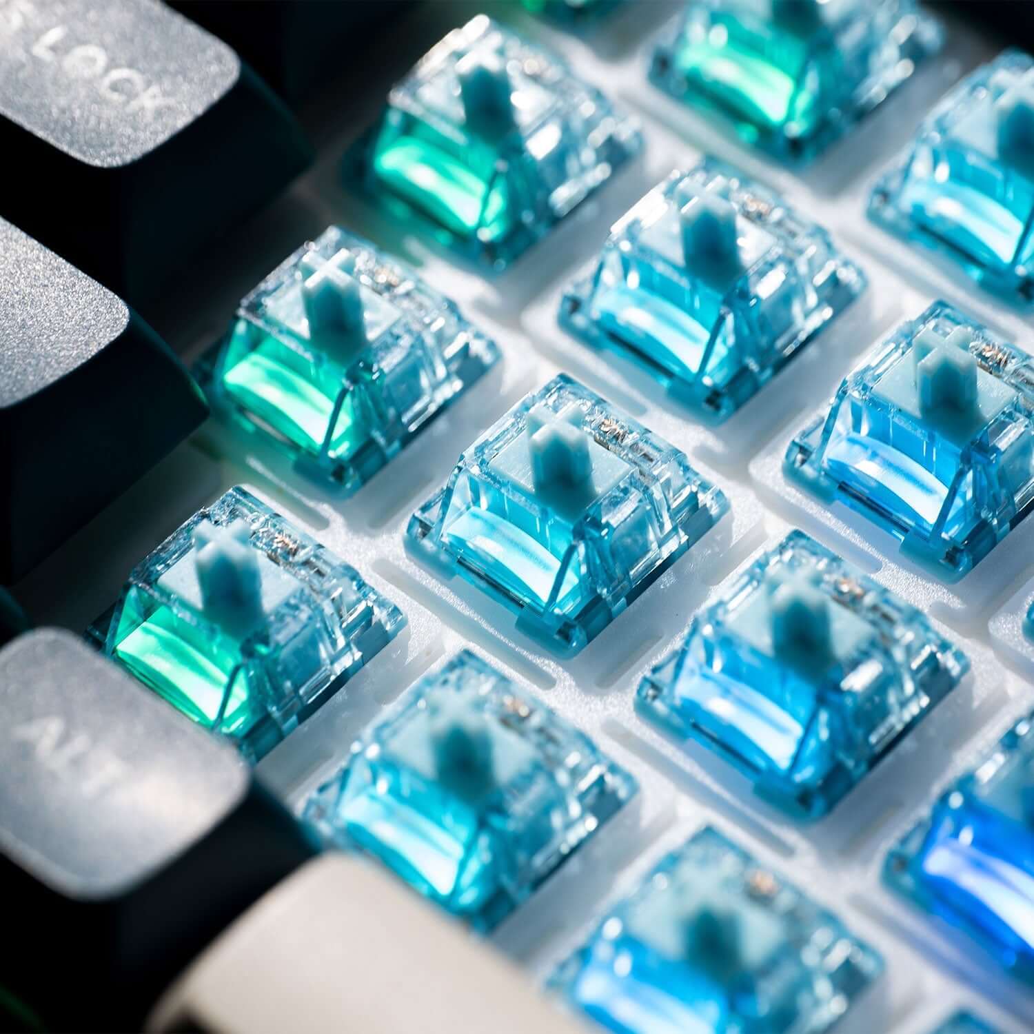Akko Pro Cream Blue V5, Tactile (10 pack)