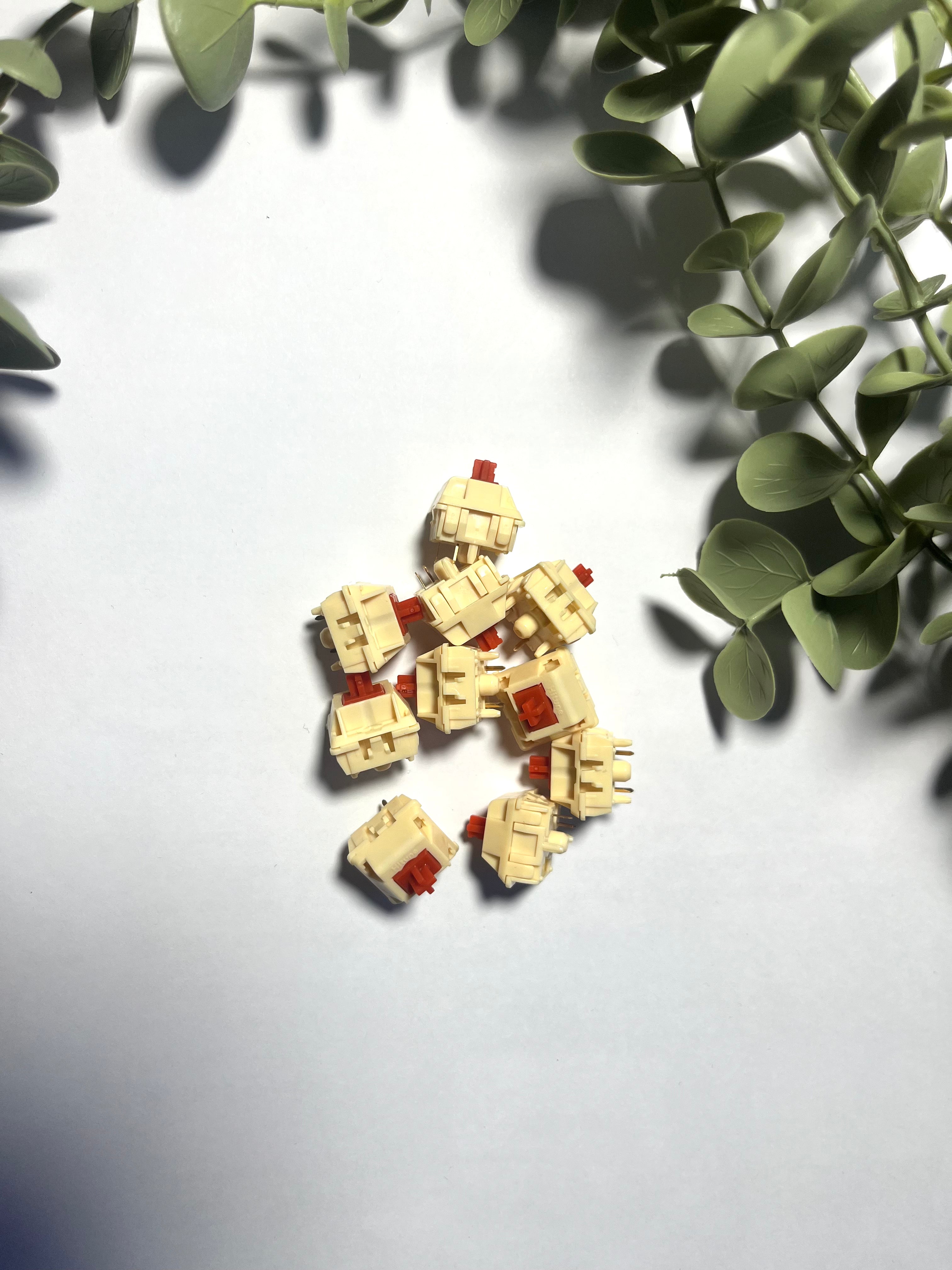 Wingtree BM11 Tactile (10 pack)