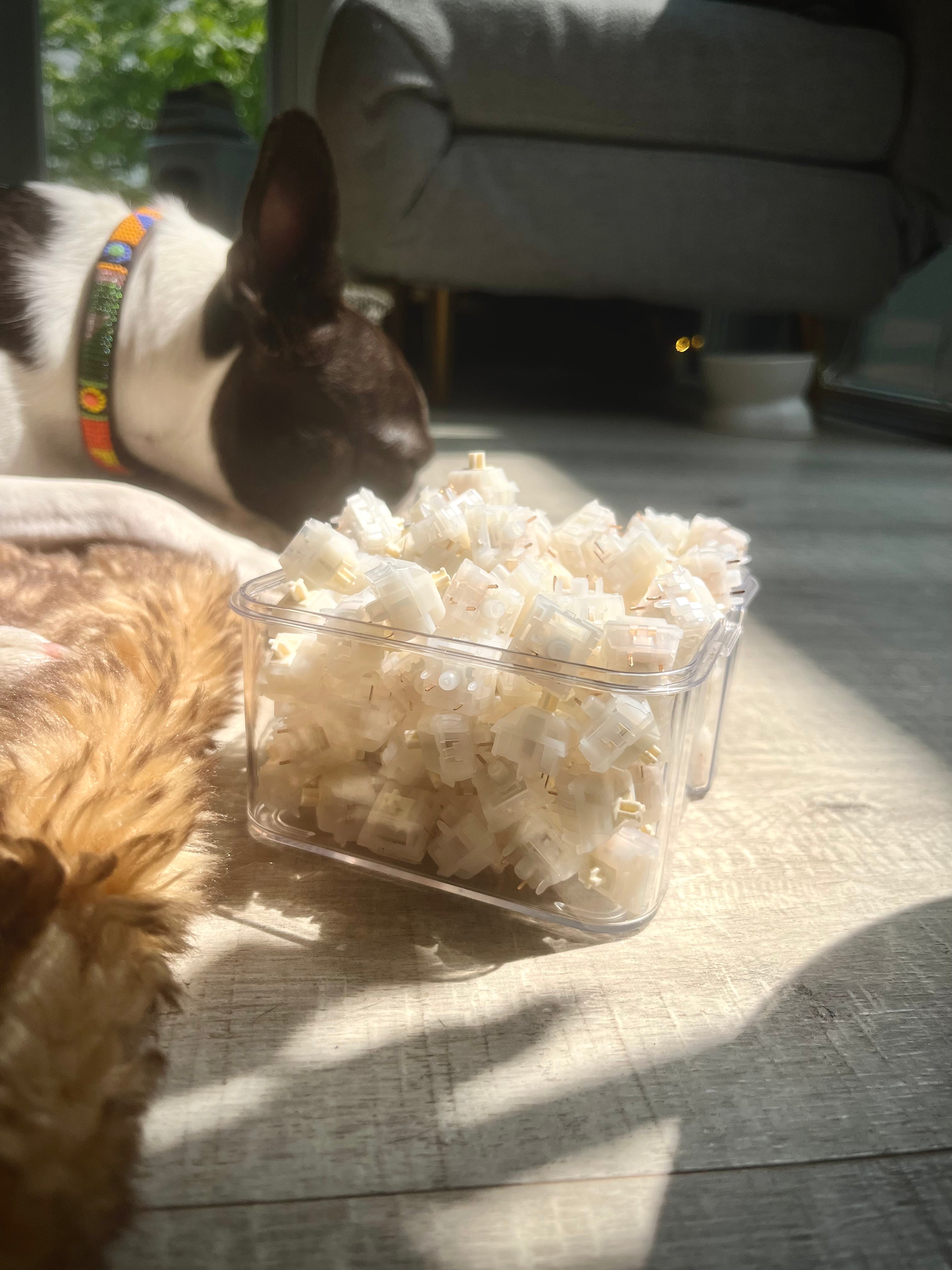 Keygeek Oat Linear (10 pack) £3.30