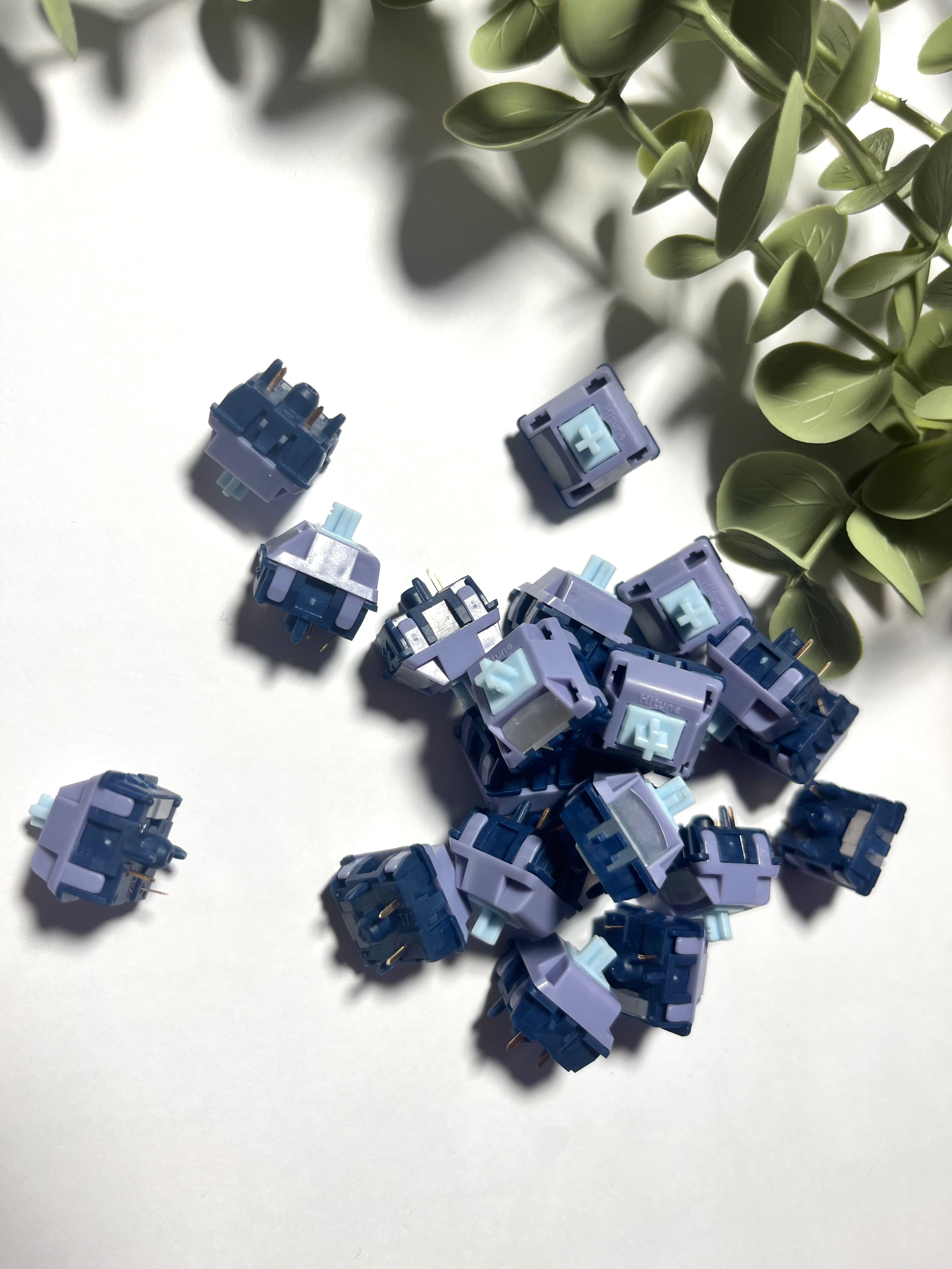 WingTree KM16 Linear (10 Pack)