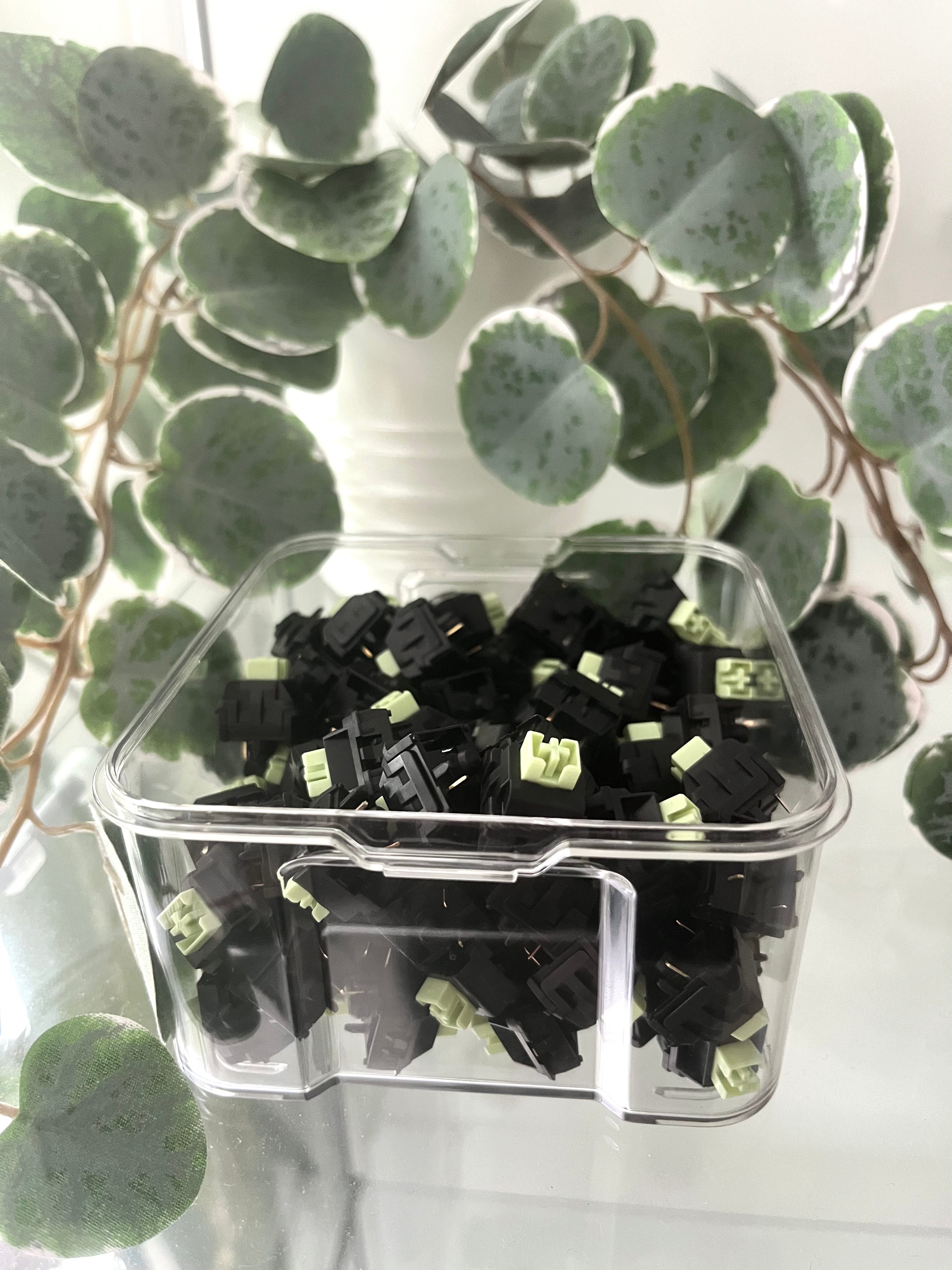 WEKT Green Mustard "W" Linear £2.80