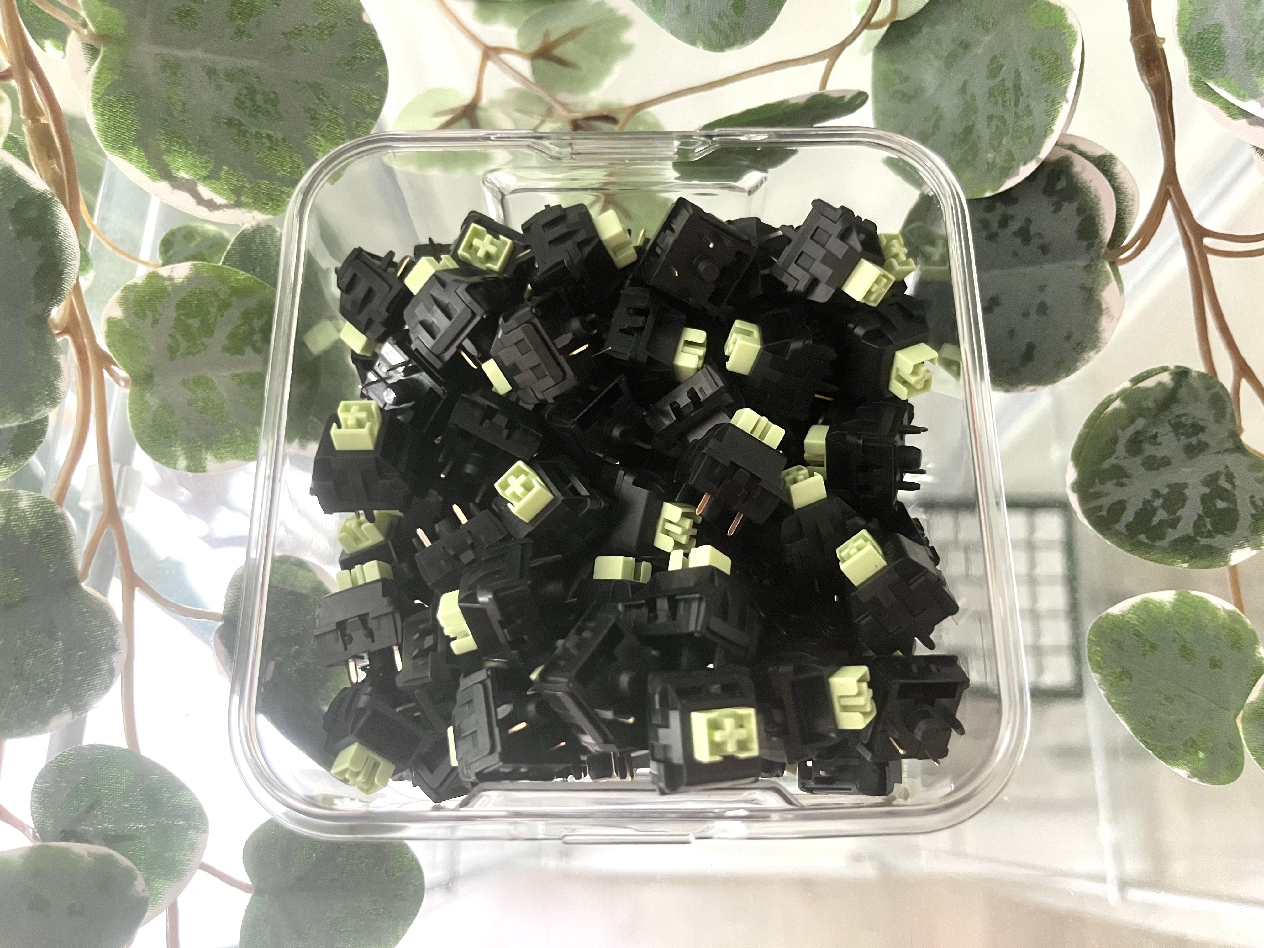 WEKT Green Mustard "W" Linear £2.80