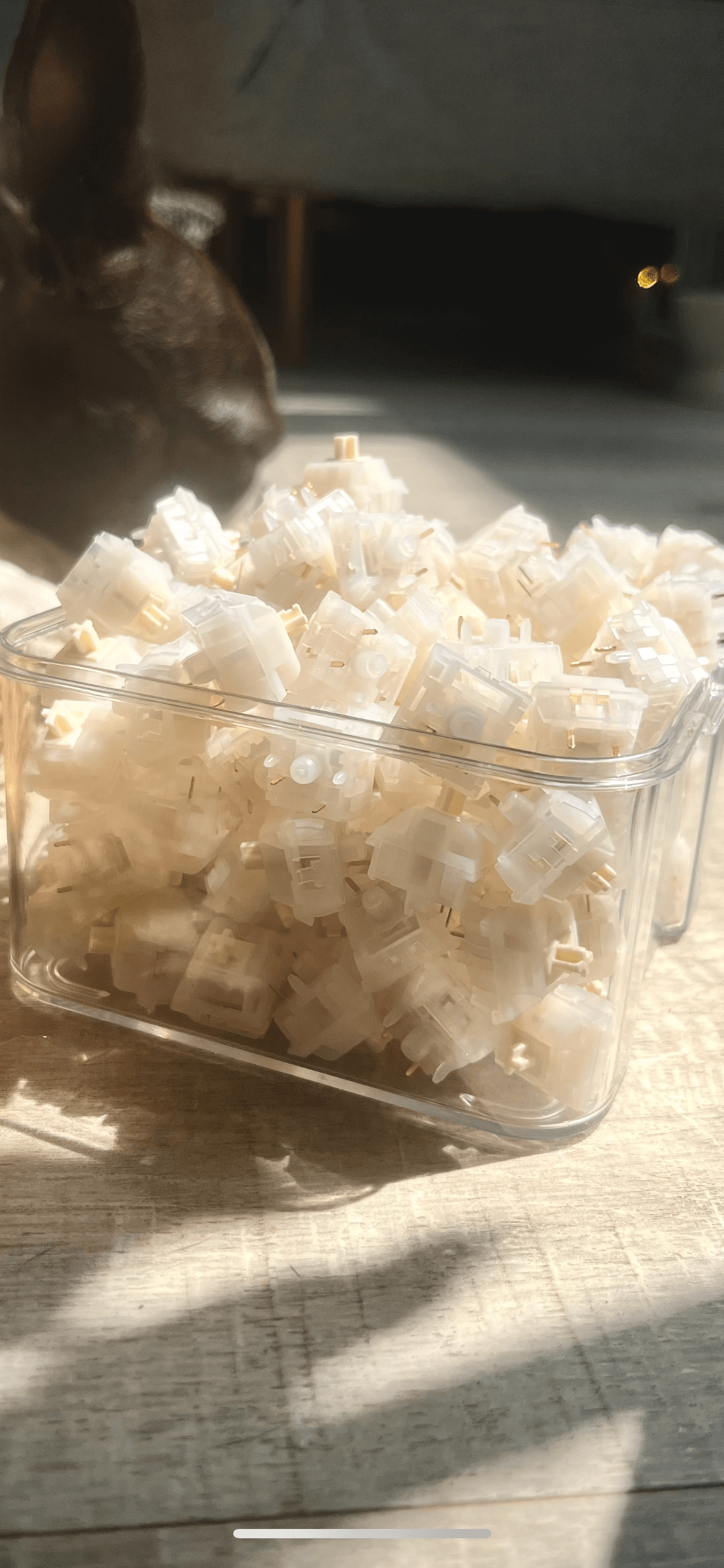 Keygeek Oat Linear (10 pack) £3.30