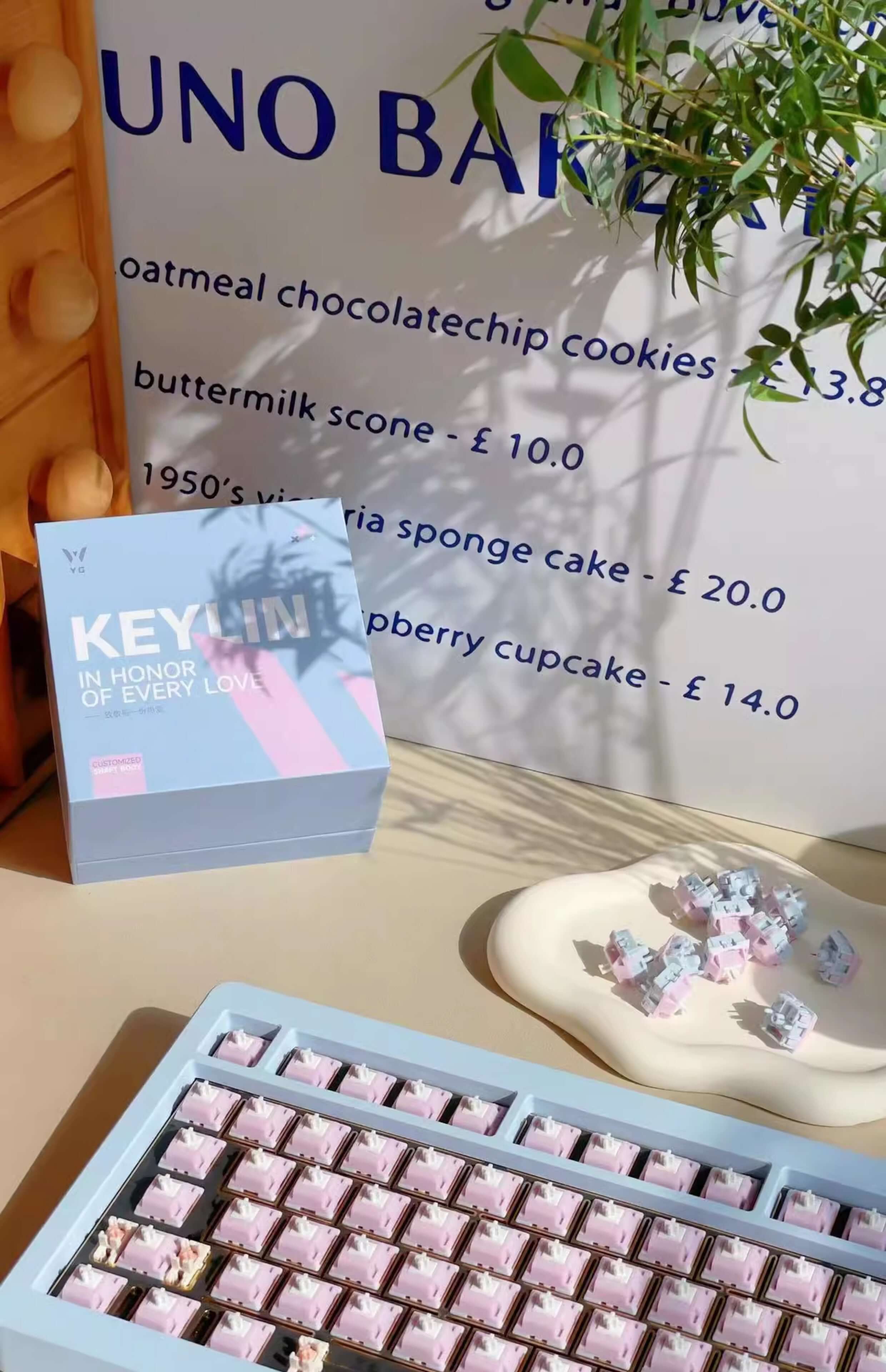 Keygeek Keylin, Linear (10 pack) £3.30