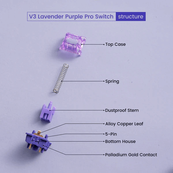 Akko V3 Lavender Purple Pro Tactile (10 Pack) £2.50