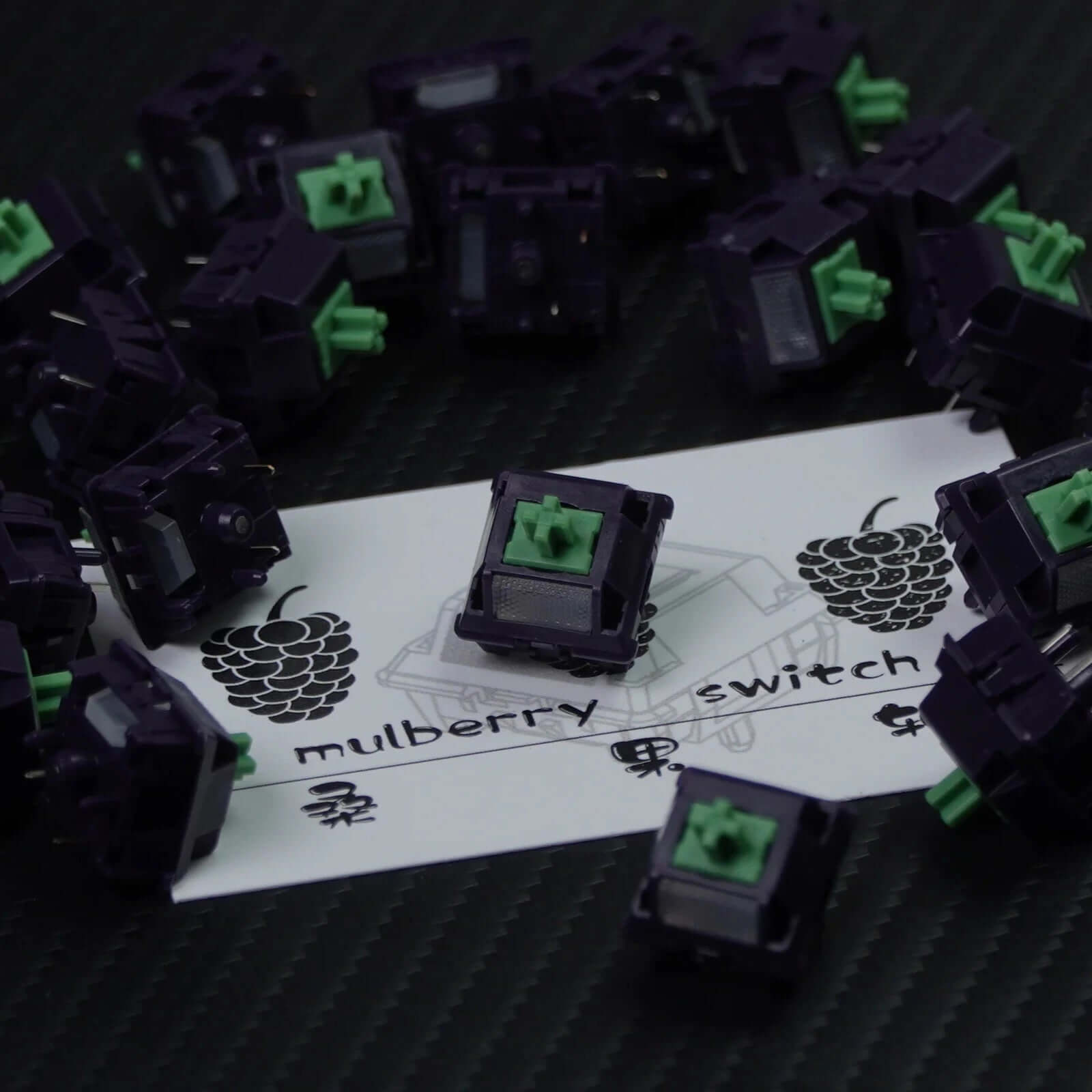 Haimu Mulberry, Tactile (10 pack) £3.80