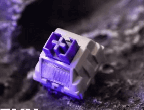 Lichicx Zichuan Silver V2 Switches (10 per pack) £4.00