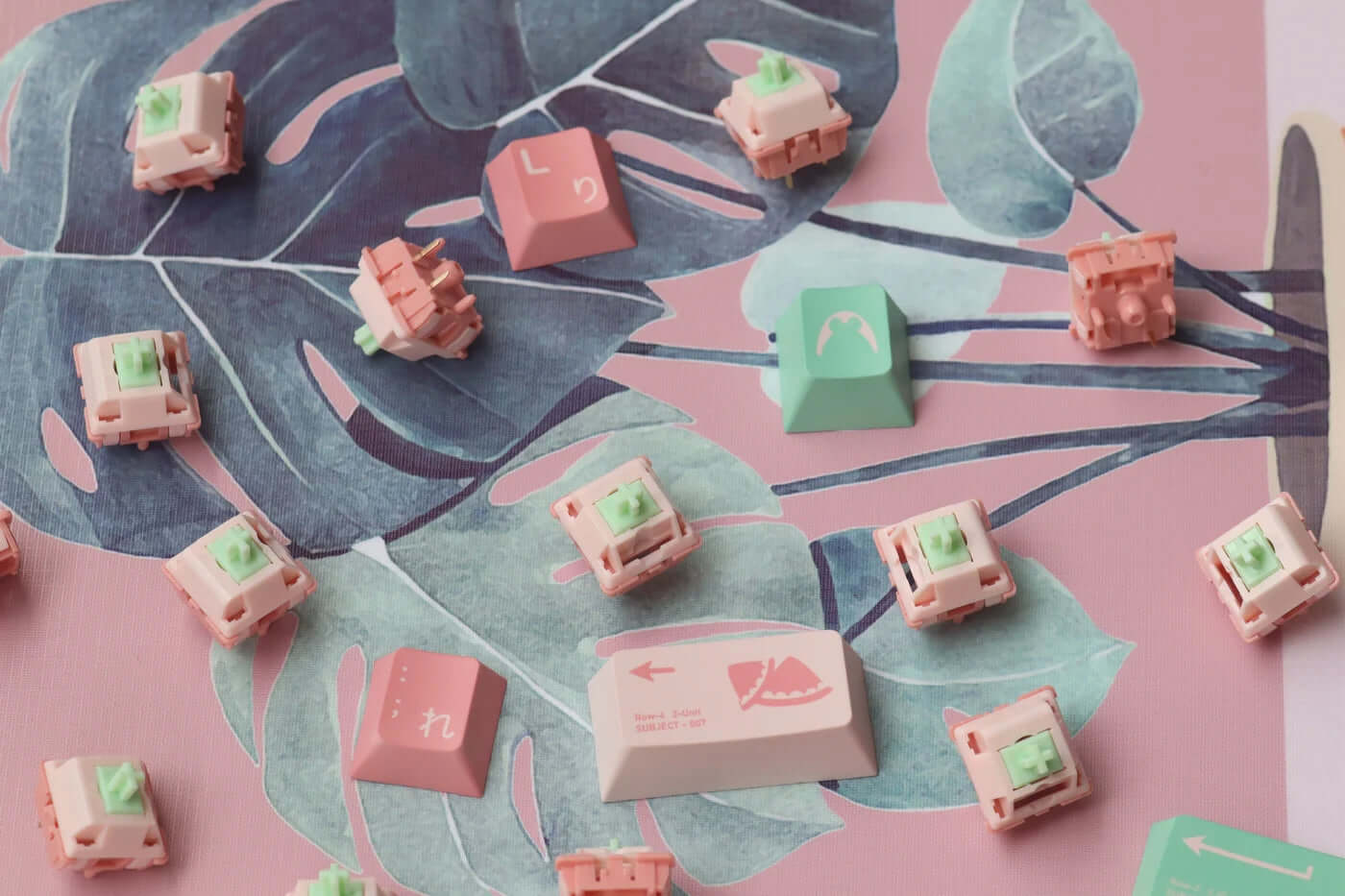 BSUN Aniya Linear Switch (10 Pack) £3.50