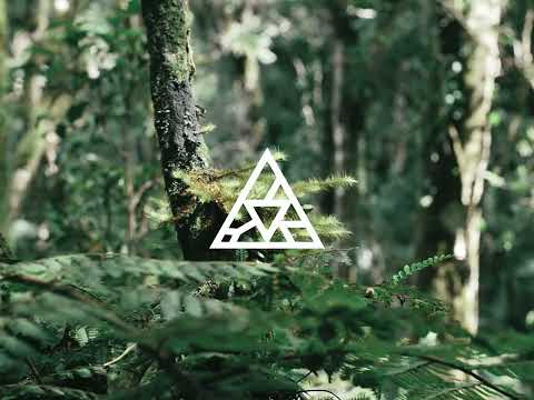 AKB Caerdroia TKL - Group Buy £360.00