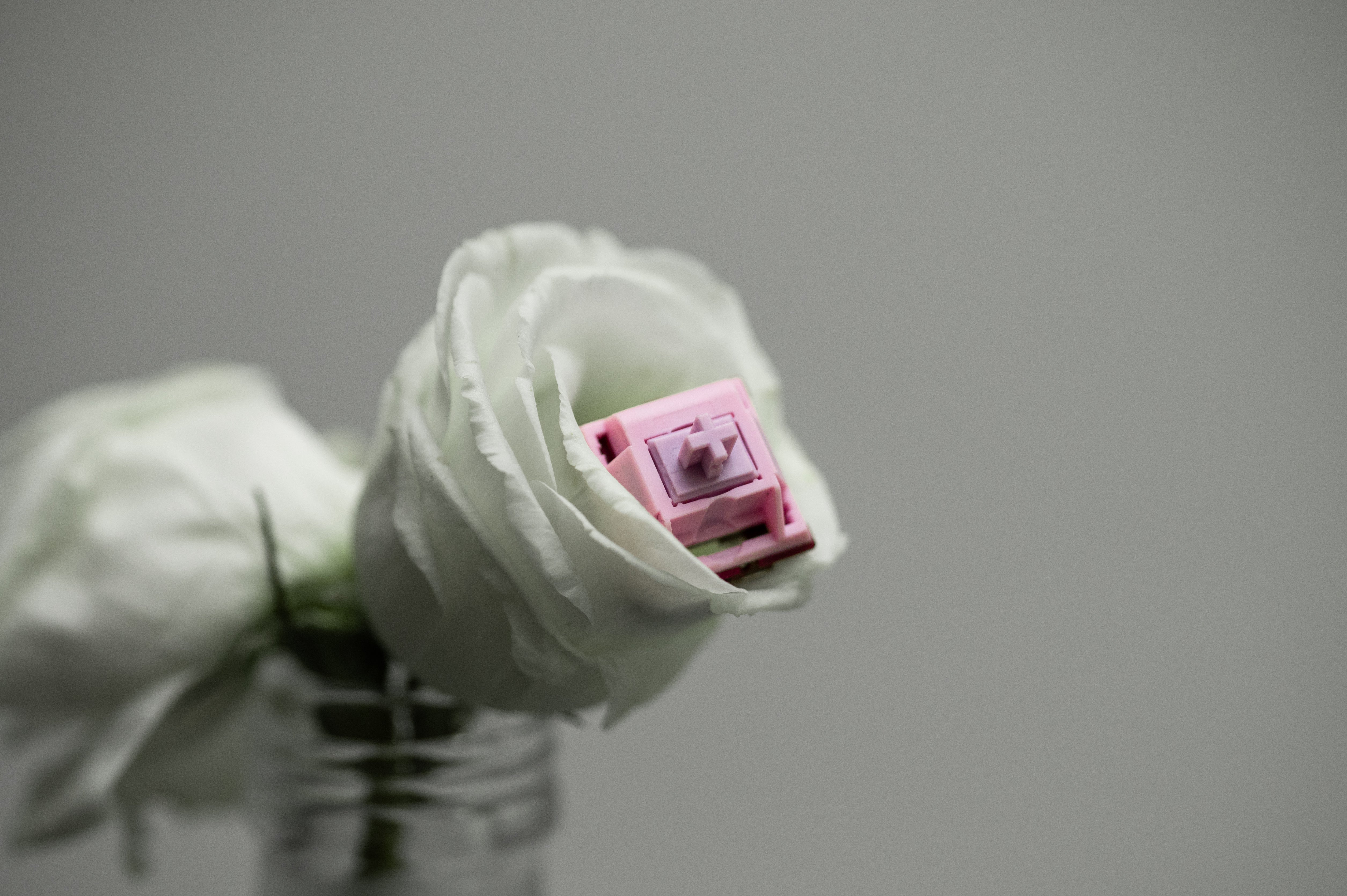 Keygeek Muse Linear (10 Pack)