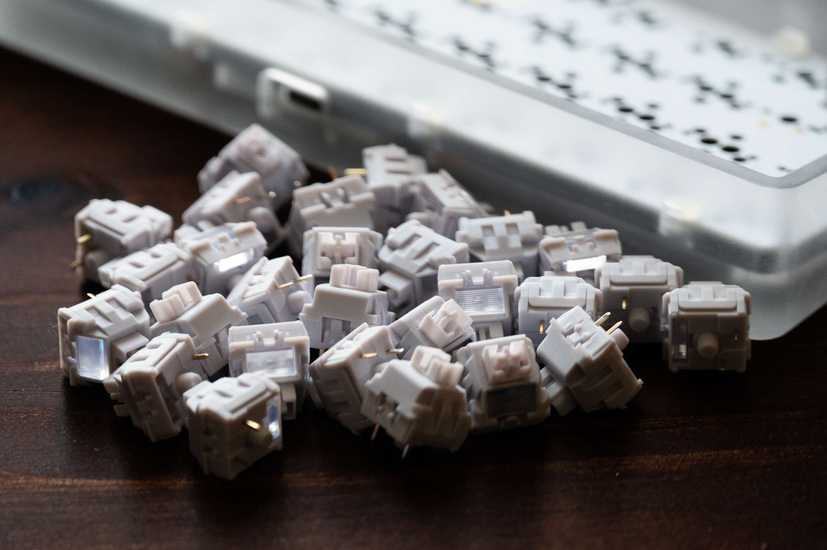 WEKT Wild Gardenia Linear £2.80