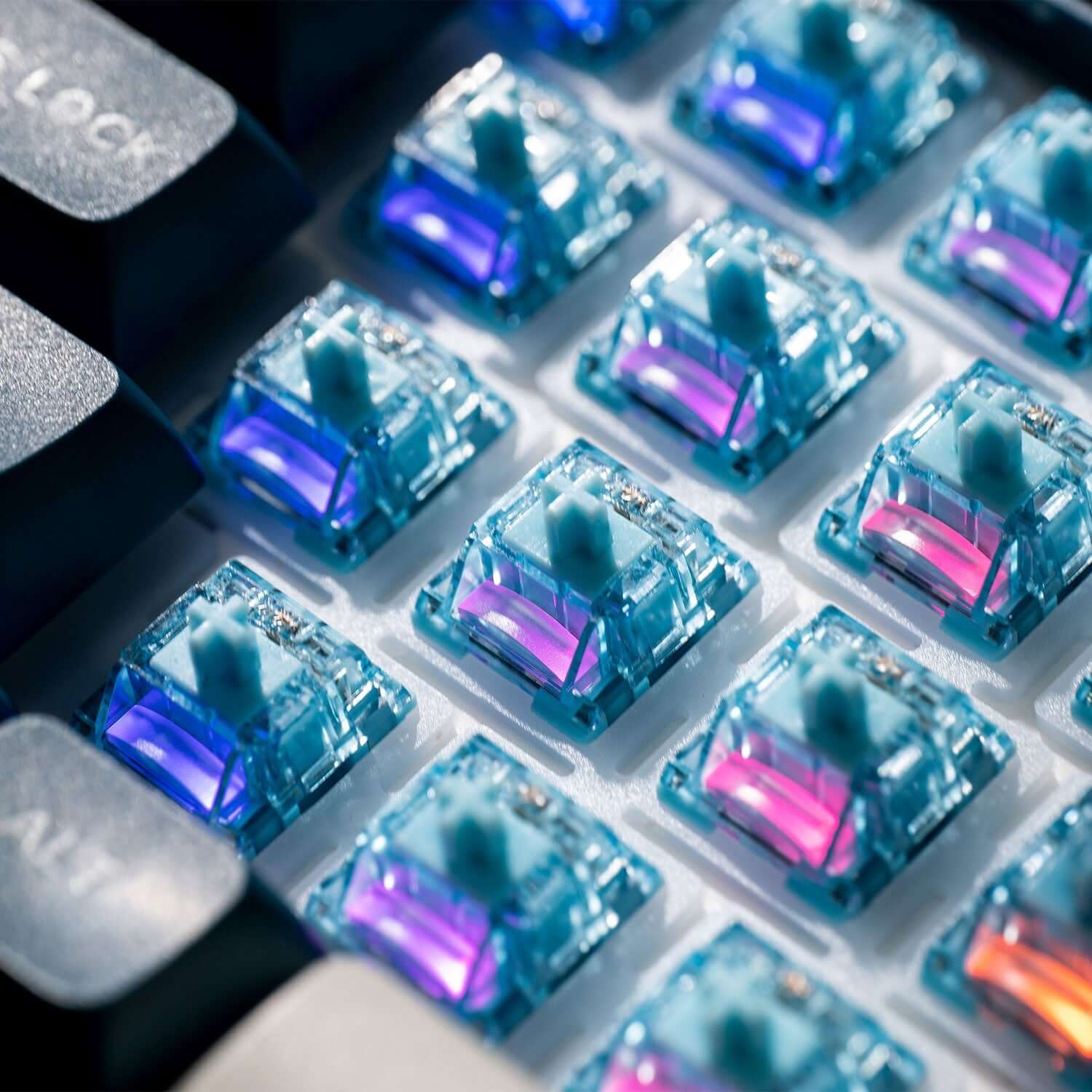 Akko Pro Cream Blue V5, Tactile (10 pack)