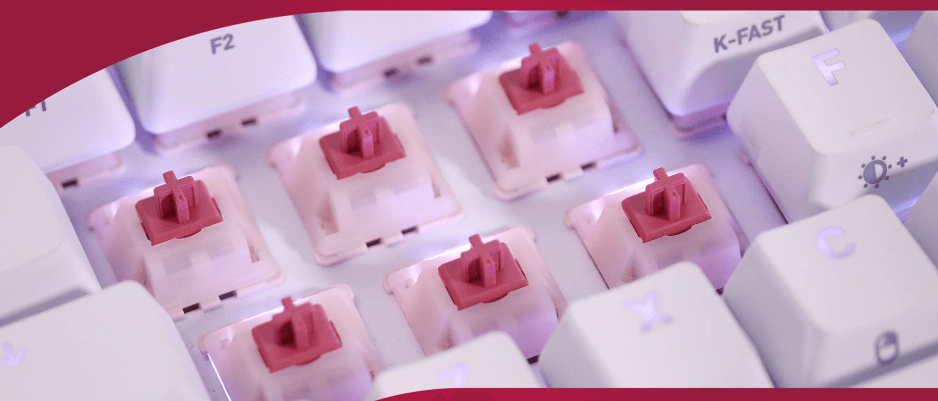 Cherry MX2A Petal Light Tactile (10 pack)