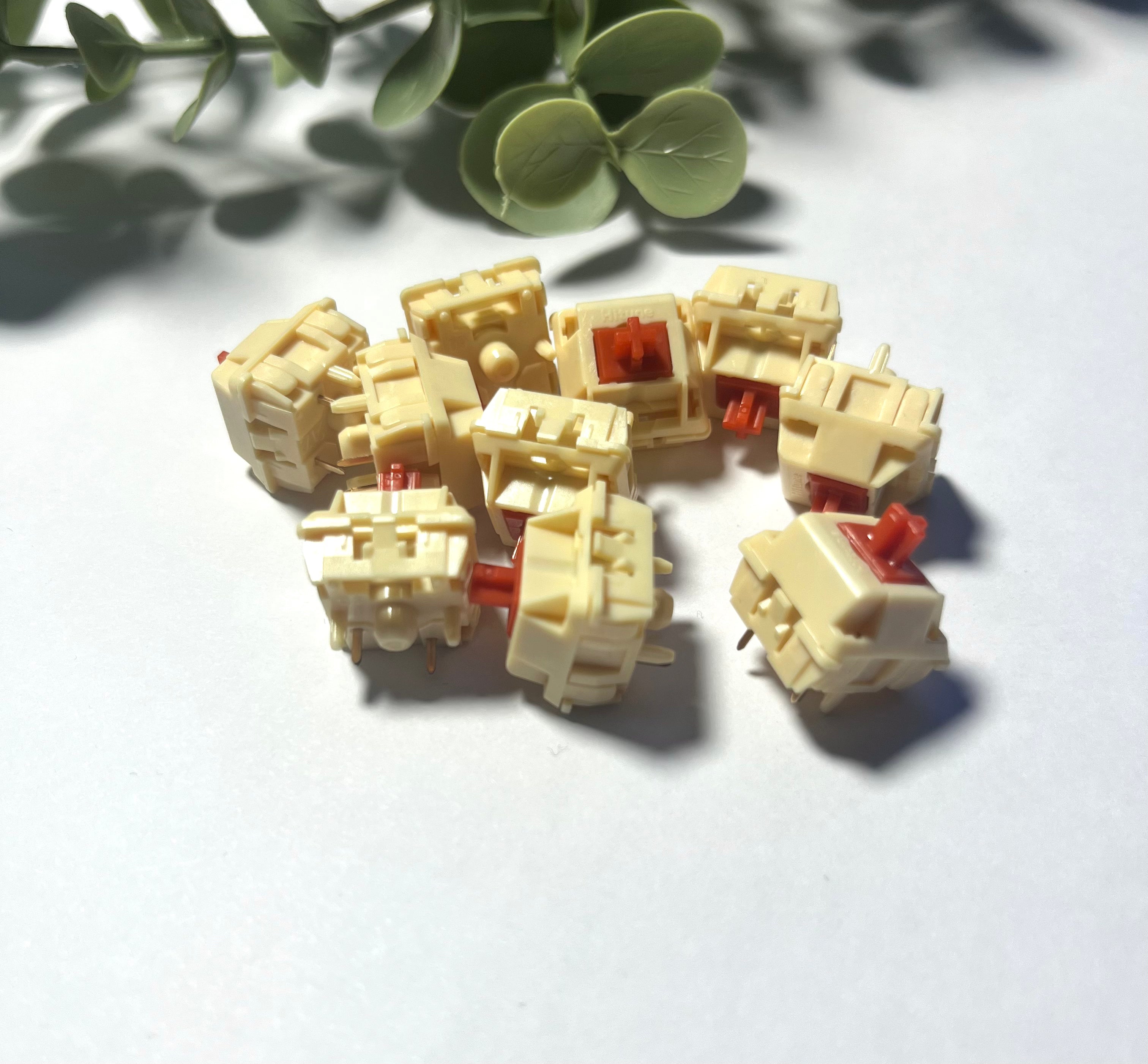 Wingtree BM11 Tactile (10 pack)