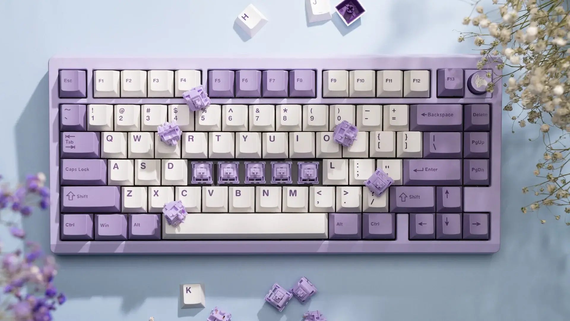 Wuque Studio x Gateron POM+ Linear Switches - 50g (10 Pack) £4.25