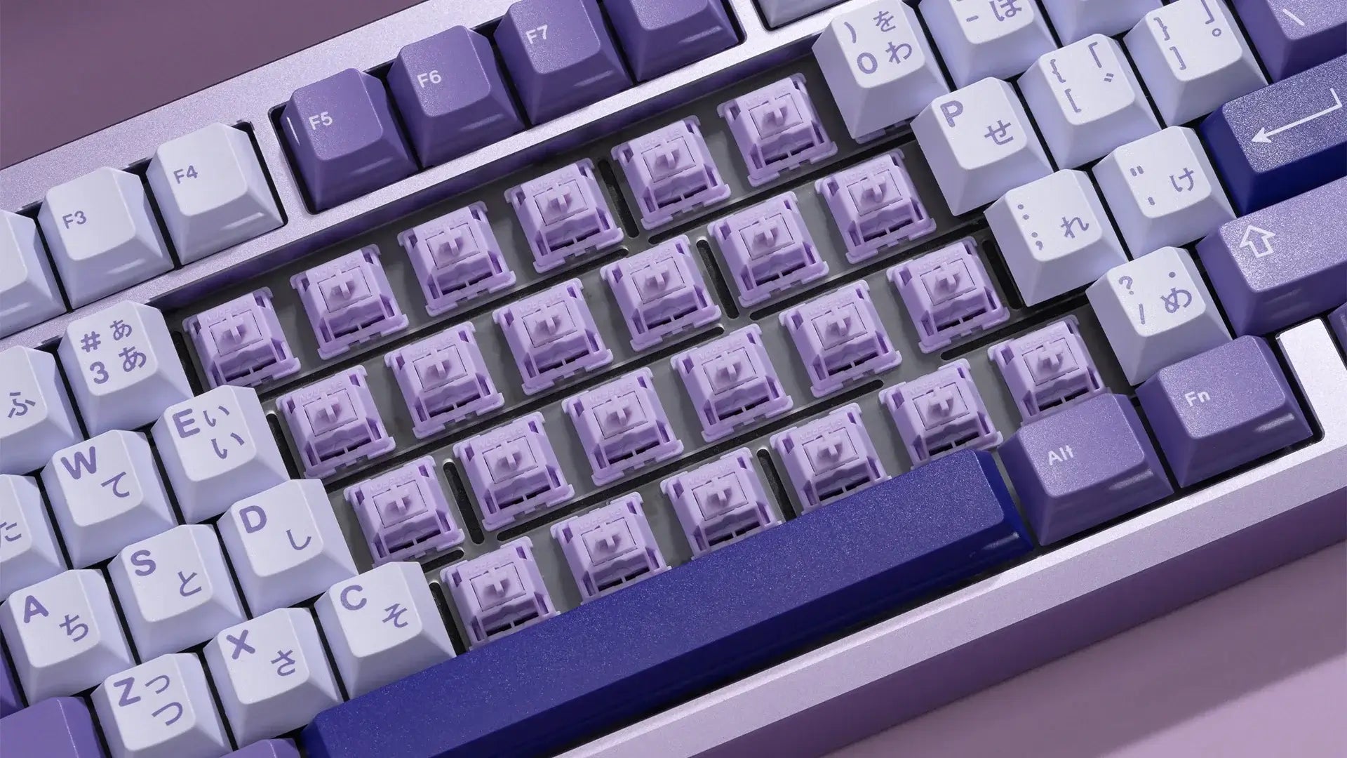 Wuque Studio x Gateron POM+ Linear Switches - 50g (10 Pack) £4.25