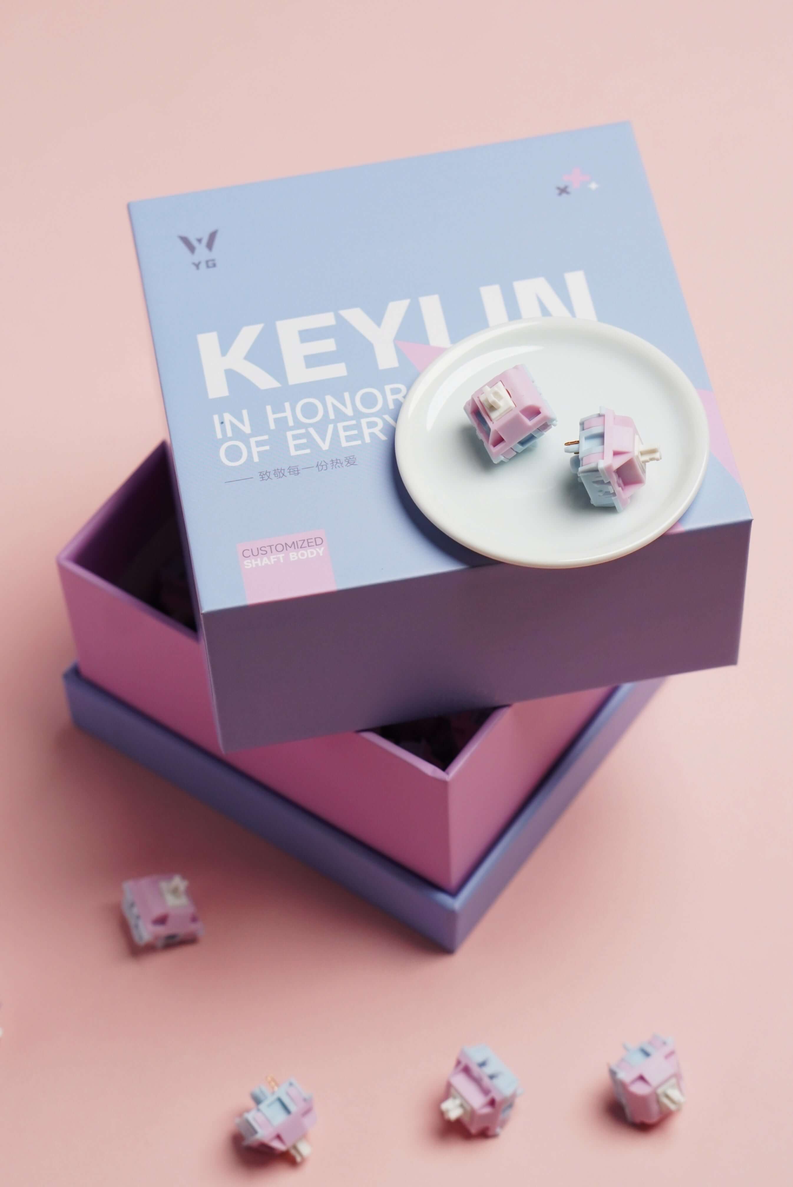 Keygeek Keylin, Linear (10 pack)