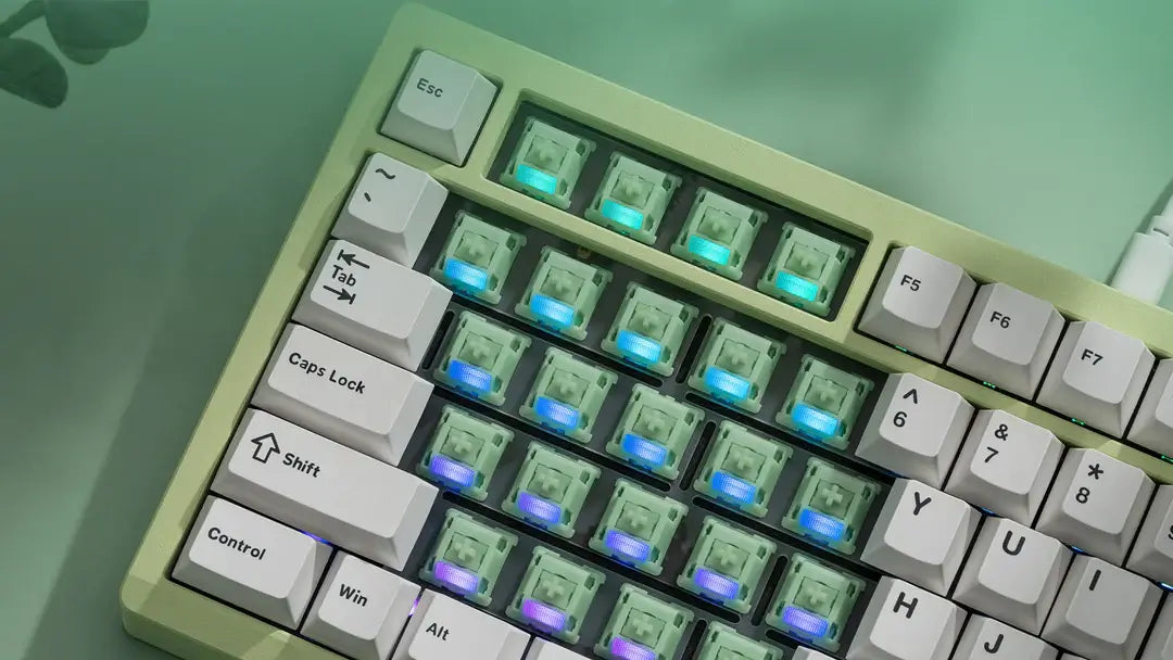 Wuque Studio Jade Switches (10 pack) £3.75
