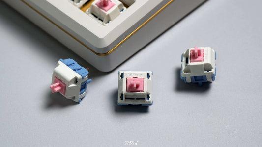 Moyu Studio Fuyu Switch (10 per pack) for Custom Mechanical Keyboards